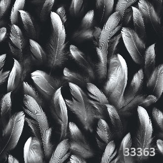 Feather dark